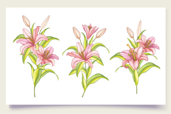 Download Hand Drawn Floral Wedding Card Set - Set Collection