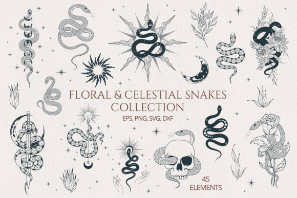 Download Hand Drawn Floral &amp; Celestial Snake Set - Set Collection