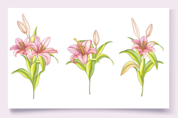Download Hand Drawn Floral Wedding Card Set - Set Collection