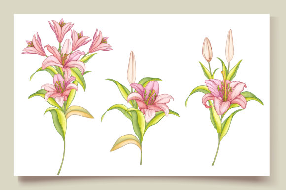 Download Hand Drawn Floral Wedding Card Set - Set Collection