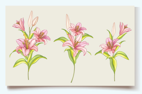 Download Hand Drawn Floral Wedding Card Set - Set Collection