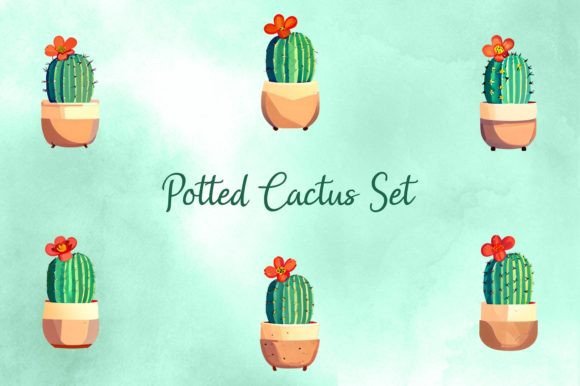 Download Potted Cactus Set - Set Collection